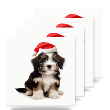 Löwchen Puppy ceramic coasters set of 4