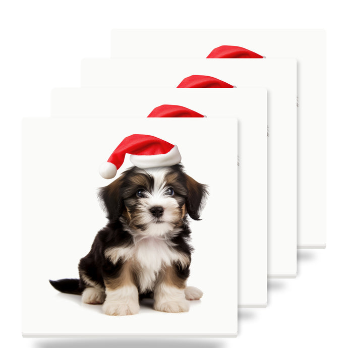 Löwchen Puppy ceramic coasters set of 4