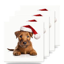 Irish Terrier Puppy ceramic coasters set of 4