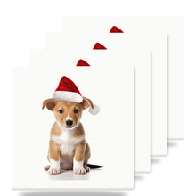 Portuguese Podengo Pequeno Puppy ceramic coasters set of 4