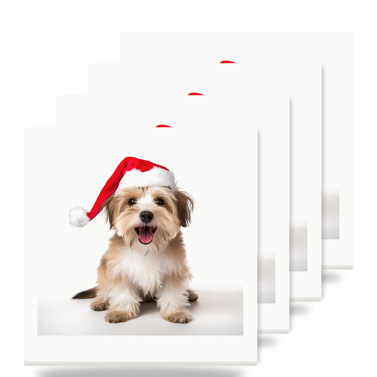 Biewer Terrier ceramic coasters set of 4