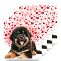 Tibetan Mastiff ceramic coasters set of 4