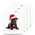 Staffordshire Bull Terrier Puppy ceramic coasters set of 4