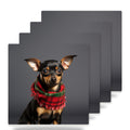 Miniature Pinscher ceramic coasters set of 4