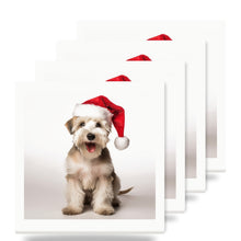Sealyham Terrier ceramic coasters set of 4
