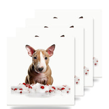 Bull Terrier Puppy ceramic coasters set of 4