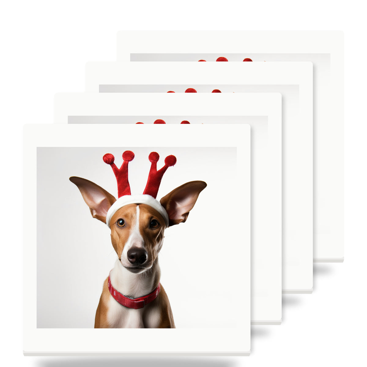 Ibizan Hound ceramic coasters set of 4