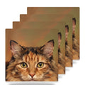Calico Cat Portrait ceramic coasters set of 4