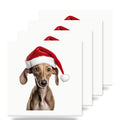 Azawakh Puppy ceramic coasters set of 4
