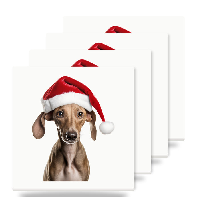 Azawakh Puppy ceramic coasters set of 4