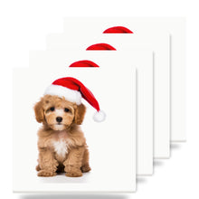 Poodle Puppy ceramic coasters set of 4