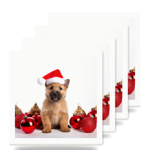 Norwich Terrier Puppy ceramic coasters set of 4