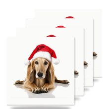 Saluki Puppy ceramic coasters set of 4
