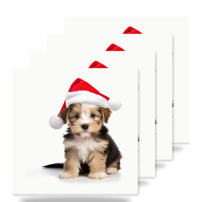 Biewer Terrier Puppy ceramic coasters set of 4