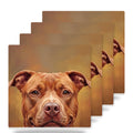 Pit Bull Portrait ceramic coasters set of 4
