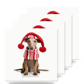 Azawakh Puppy ceramic coasters set of 4