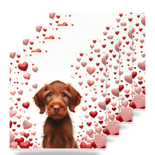 Wirehaired Vizsla ceramic coasters set of 4