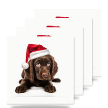 Field Spaniel Puppy ceramic coasters set of 4