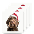 Wirehaired Pointing Griffon ceramic coasters set of 4