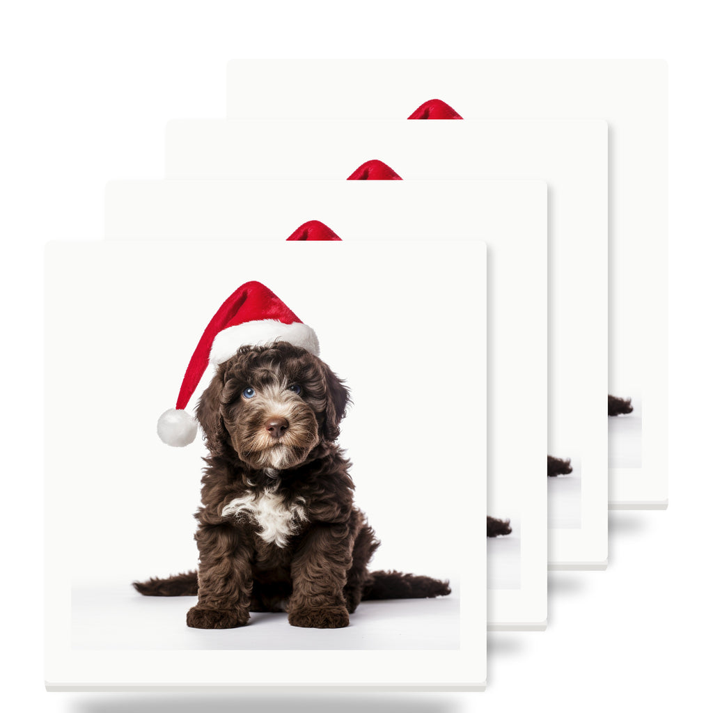 Spanish Water Dog Puppy ceramic coasters set of 4
