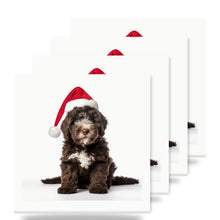 Spanish Water Dog Puppy ceramic coasters set of 4