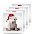 Dogo Argentino Puppy ceramic coasters set of 4