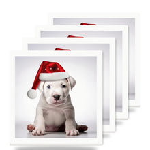 Dogo Argentino Puppy ceramic coasters set of 4
