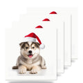 Alaskan Malamute Puppy ceramic coasters set of 4