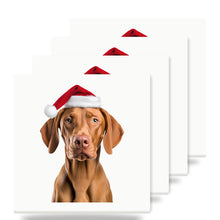 Vizsla ceramic coasters set of 4