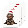 Wirehaired Pointing Griffon Puppy ceramic coasters set of 4