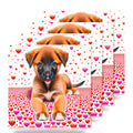 Belgian Malinois ceramic coasters set of 4