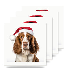 Welsh Springer Spaniel ceramic coasters set of 4