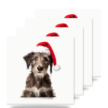 Scottish Deerhound Puppy ceramic coasters set of 4