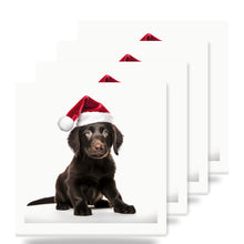 Flat-Coated Retriever Puppy ceramic coasters set of 4