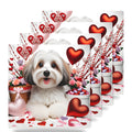 Havanese ceramic coasters set of 4