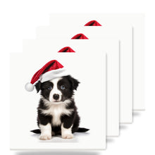 Border Collie Puppy ceramic coasters set of 4