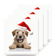 Soft Coated Wheaten Terrier Puppy ceramic coasters set of 4