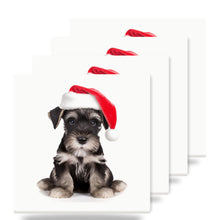 Standard Schnauzer Puppy ceramic coasters set of 4