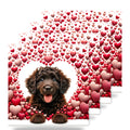 Portuguese Water Dog ceramic coasters set of 4