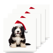 Polish Lowland Sheepdog Puppy ceramic coasters set of 4