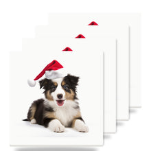 Collie Puppy ceramic coasters set of 4