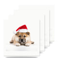 Akita Puppy ceramic coasters set of 4