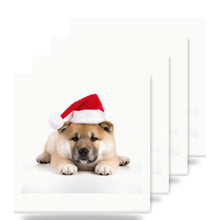 Akita Puppy ceramic coasters set of 4