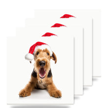 Airedale Terrier ceramic coasters set of 4