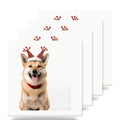 Norwegian Buhund ceramic coasters set of 4