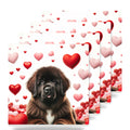 Newfoundland ceramic coasters set of 4
