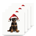 German Pinscher Puppy ceramic coasters set of 4