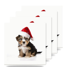Biewer Terrier Puppy ceramic coasters set of 4
