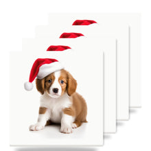 Kooikerhondje Puppy ceramic coasters set of 4