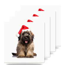 Briard Puppy ceramic coasters set of 4